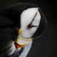 Horned puffin. Canon EOS Rebel t7i with Tamron SP 150-600mm f/5-6.3 lens; 1/800 second at f/11; ISO 1600